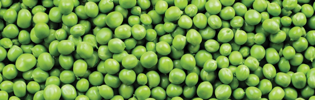 The future of food