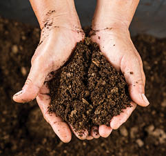 Low Carbon Footprint