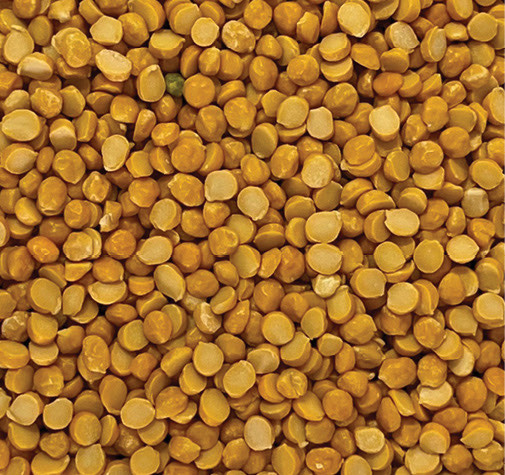 Chana Dahl Peas
