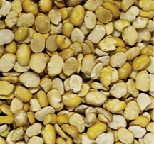 Split Faba Beans
