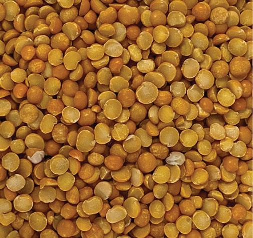 Split Yellow Peas