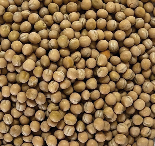 Whole Yellow Peas