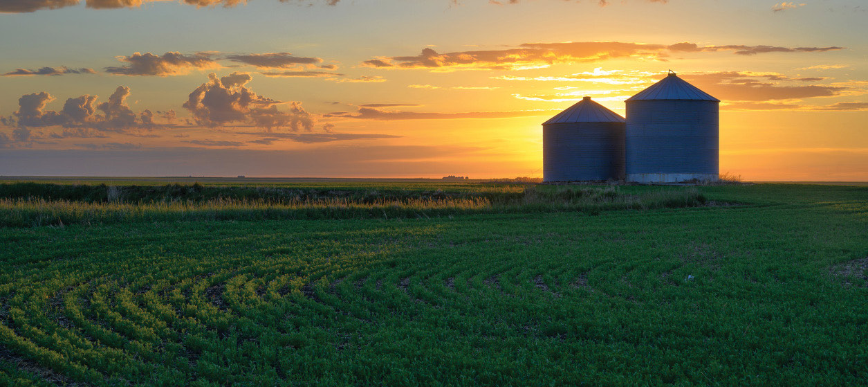 Saskatchewan prairie at sunset