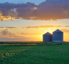 Soil Health & Crop Systems